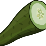 An image showcasing five cucumbers at different stages of decay