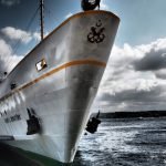 An image capturing the serene beauty of a winter forest, with a group of turkeys pecking at fallen acorns beneath towering oak trees, showcasing their habitat and their preferred food source
